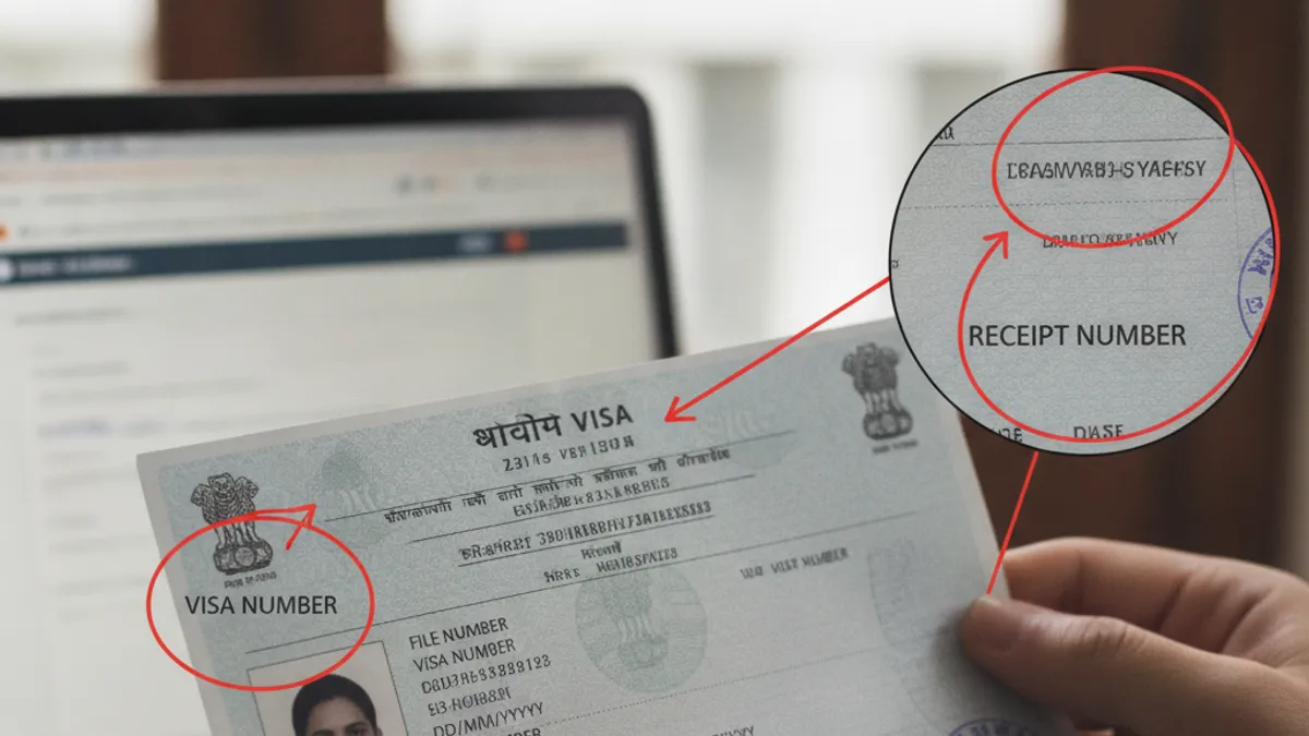 Common Mistakes with Indian Visa Numbers