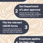 What Is Sponsorship For Employment
